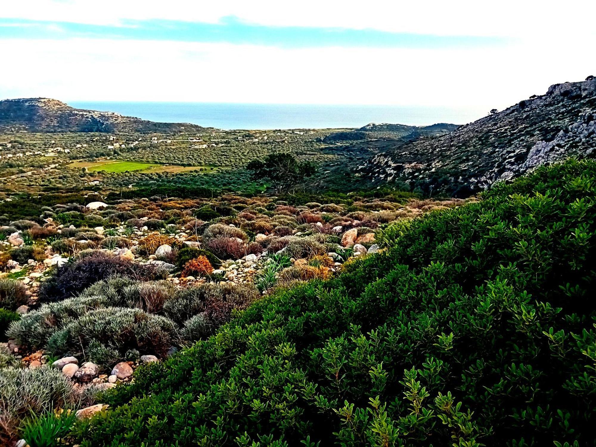 Lucidum Villa Rhodes Faliraki Esterno foto